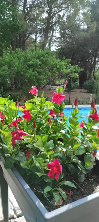 Le Laou Bed & Breakfast Mimet